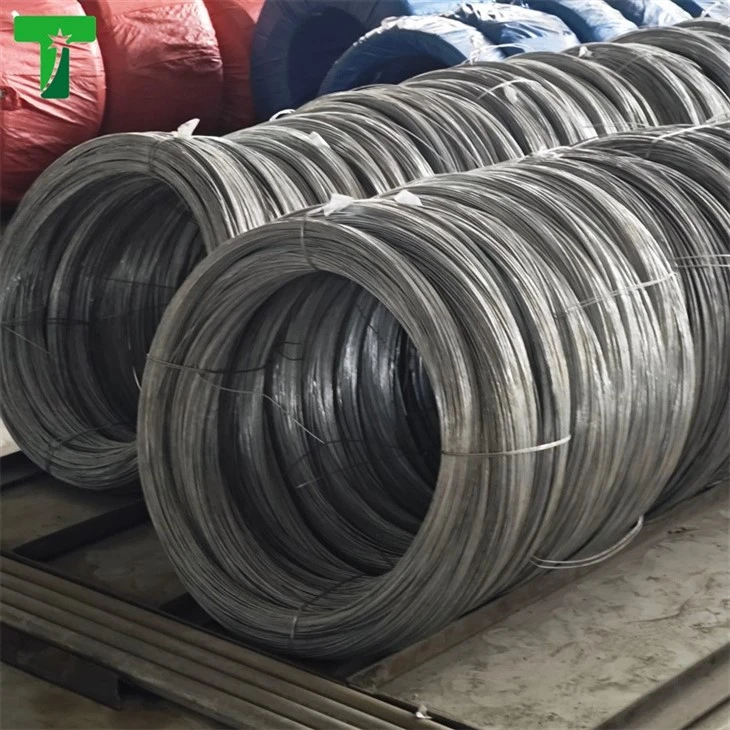 Steel Wire Rod Price Nail Wire Raw Material